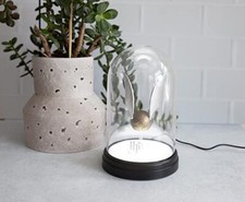 Golden Snitch Light Licensed