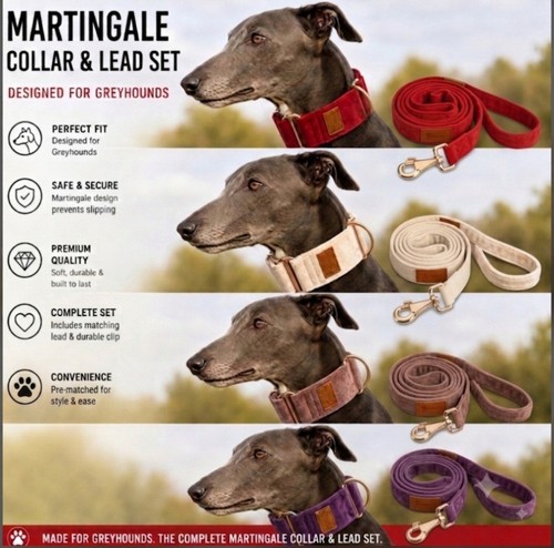 Luxury soft velvet martingale - luxury,