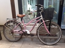 Pink Vintage Snob Cruisers