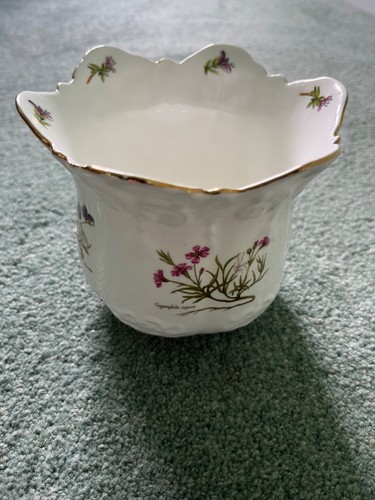 Brosnic bone china victoriana - bone,