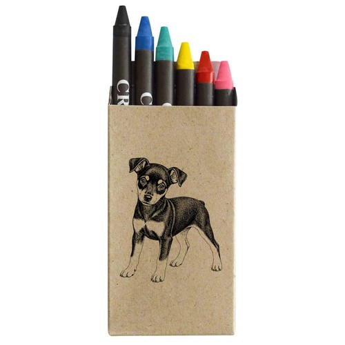 Miniature pinscher puppy - 'miniature, puppy'