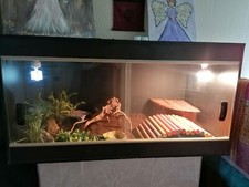 glass vivarium used