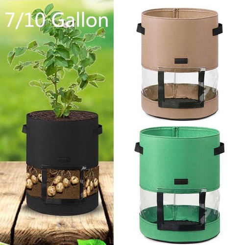 Gal potato planting bag - 7/10,