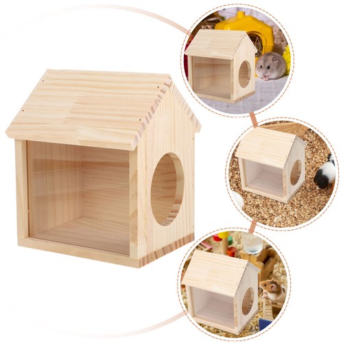 Guinea pig loft small animal - small,