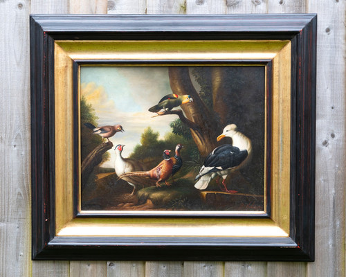 Finely painted oil - finely,