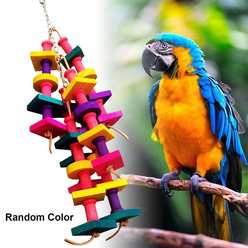 Parrot pet bird chew toys - parrot,