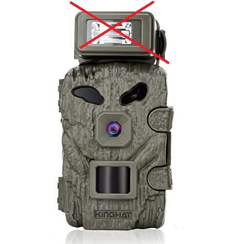 Wild camera surveillance - wild, camera/surveillance