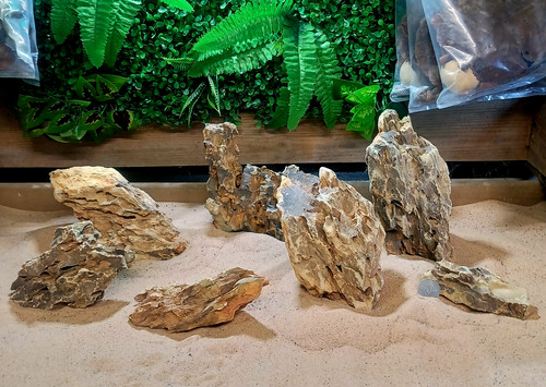 Dragon rock stone ohko - stone,