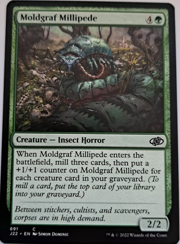 Moldgraf millipede jumpstart - millipede,