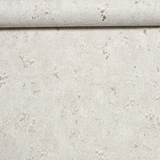 Plain OffWhite Wallpaper