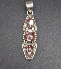 Southwestern Wild Horse