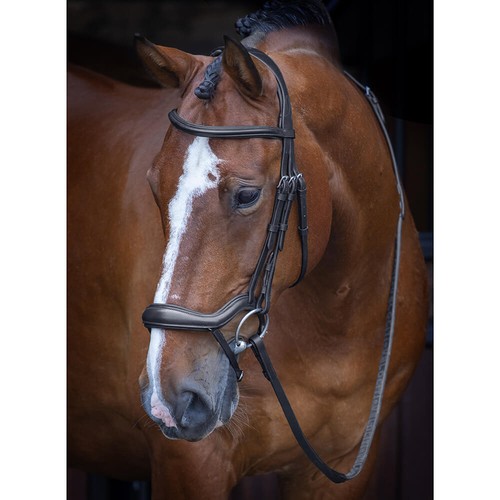 Shires velociti rapida - velociti,