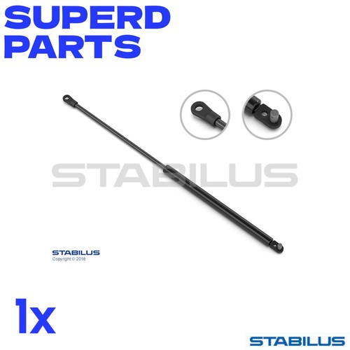 Gas spring trunk - trunk, lid