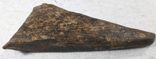 Mammoth or Mastodon Bone