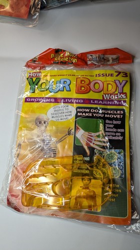 Issue how your body - 73,,