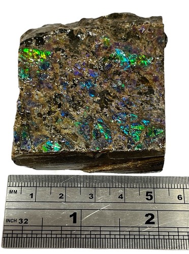 Genuine ammolite from alberta - ammolite,