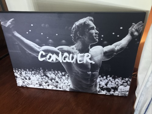 Arnold schwarzenegger framed - arnold,