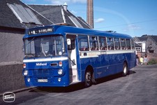 Bus Photo - Alexander