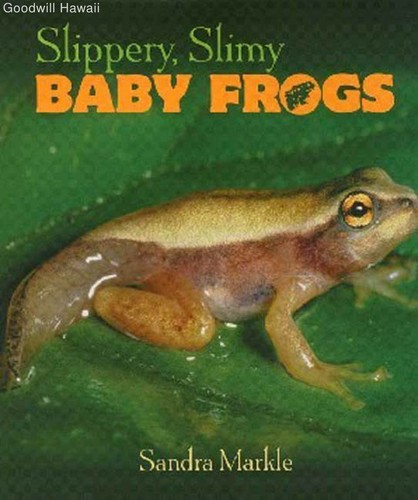 Slippery slimy baby frogs - slippery,,