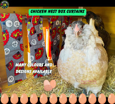 Chicken nest box - nest,