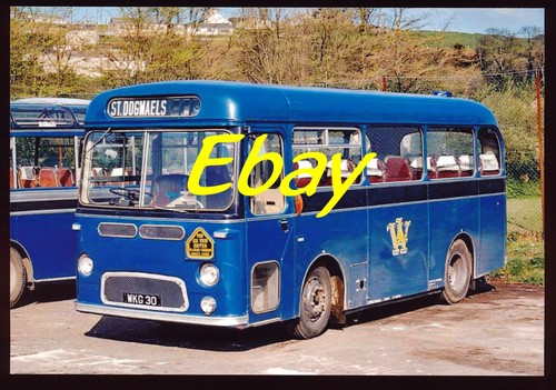 Bus photo albion nimbus - photo,,