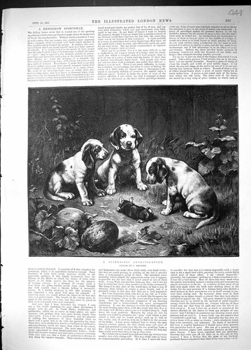Antique print 1889 scientific - 1889,