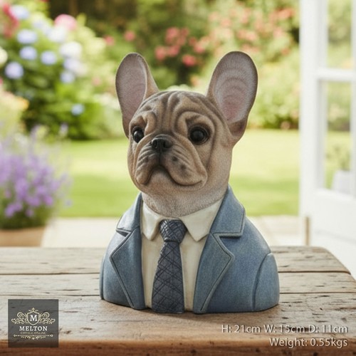 Quirky french bulldog - bull, dog