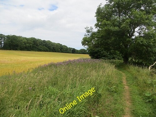 Photo 6x4 path - beside, tyne