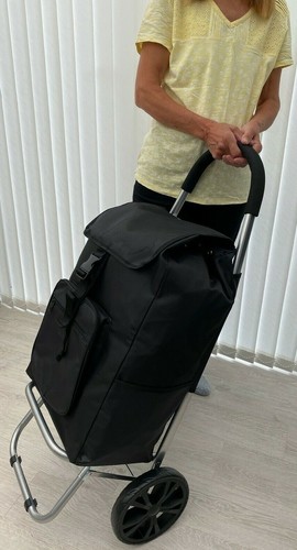 Large shopping trolley - x,