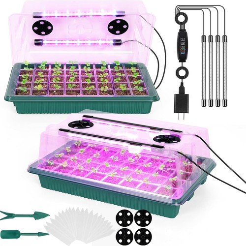 Holes seed trays with - 2x,