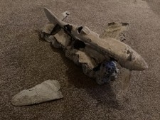 Very Large Aquarium - Fish