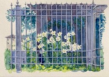 1059☆Watercolor painting