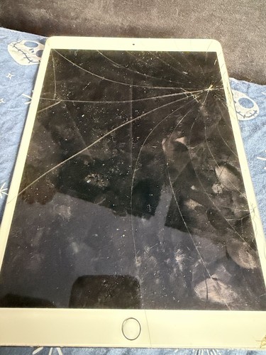 Apple ipad pro 1st generation - apple,
