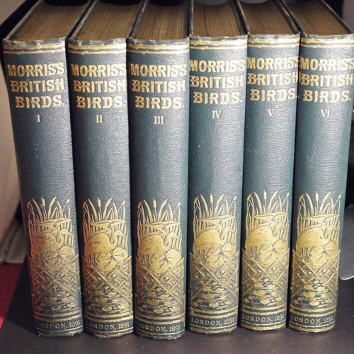 Superb a history of - superb,