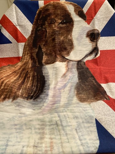 House flag springer spaniel - house,
