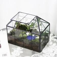 Mini Terrarium Greenhouse Real