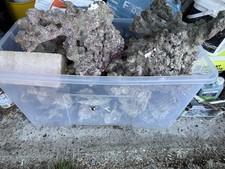 Marine Reef Aquarium Live Rock 35+ kg