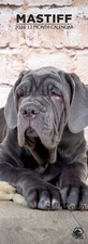 Mastiff Dog 2026 Slim