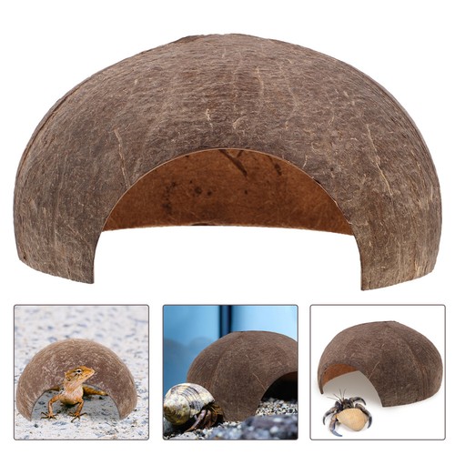 Reptile accessories aquarium - reptile,