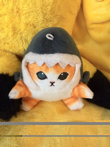 Cute shark cat fried - shark,