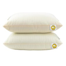 Baavet Wool Pillow (Single)