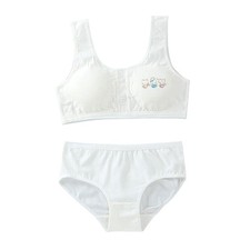 Girls Training Bras Panties