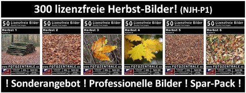 300 royalty free professional - 300,