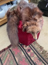 Vintage Real Fox Fur Stole Brown