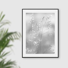 Black & White Botanical