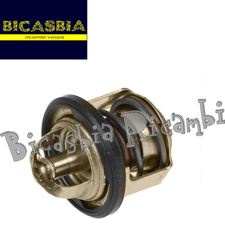 10987 water thermostat - water,
