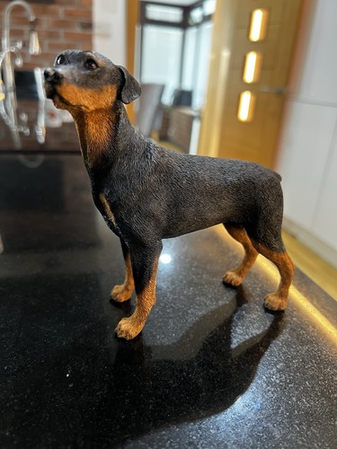 Special cast resin - a, doberman