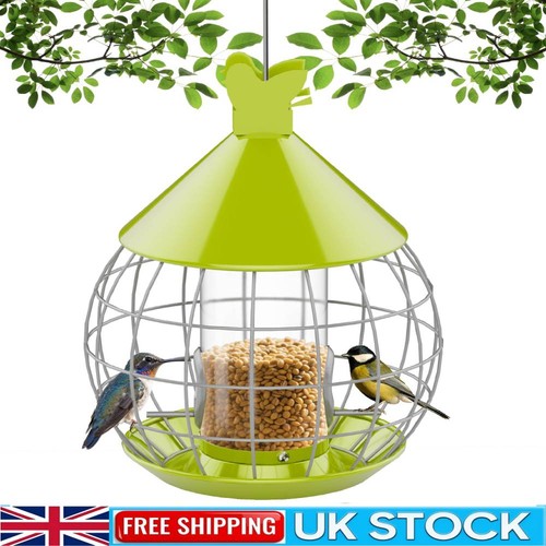 Squirrel proof hanging - squirrel,