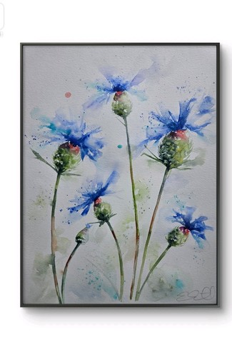 Original cornflower - original,