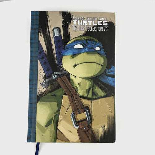 Teenage mutant ninja turtles - teenage,